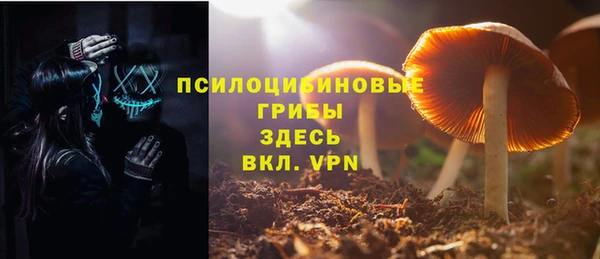 ешки Вязьма