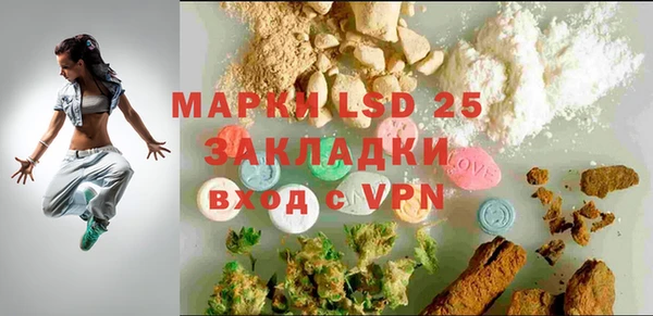 ешки Вязьма