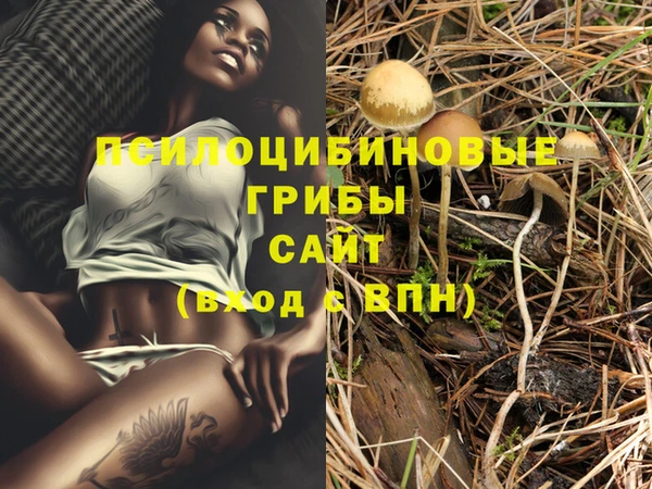 альфа пвп Вяземский
