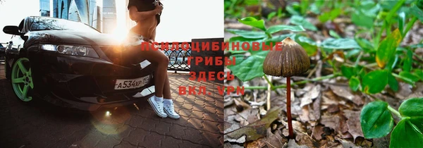 альфа пвп Вяземский