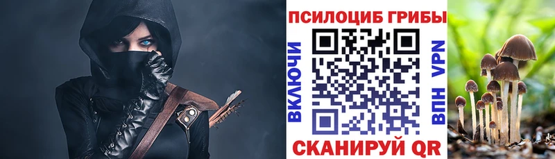 Галлюциногенные грибы Magic Shrooms Купить Вилючинск
